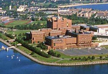 aerial view of umass boston campus